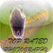 Top Rated Photography